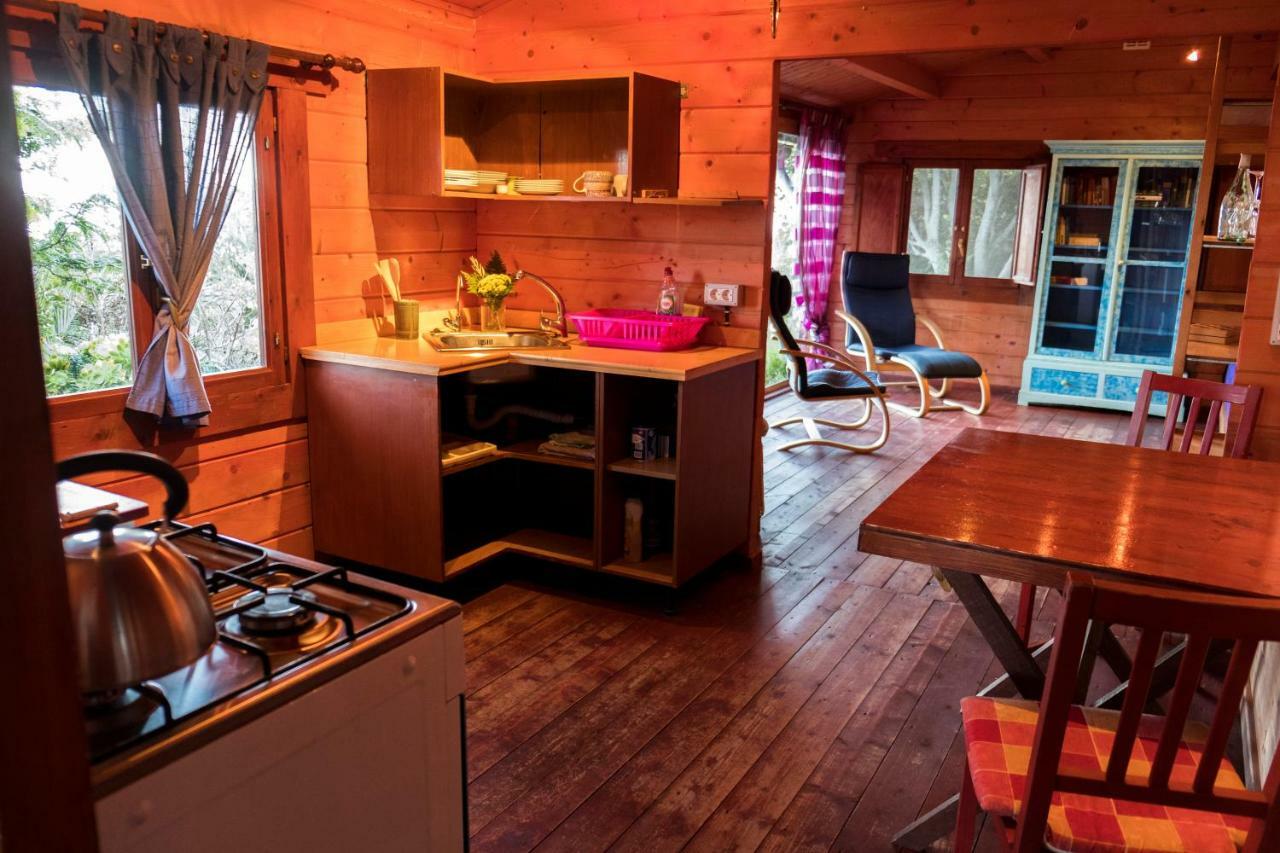 Finca Pura Vida Blockhaus 마조 외부 사진